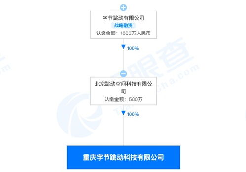 字節(jié)跳動跨界布局 重慶子公司經營范圍新增房地產經紀與技術咨詢